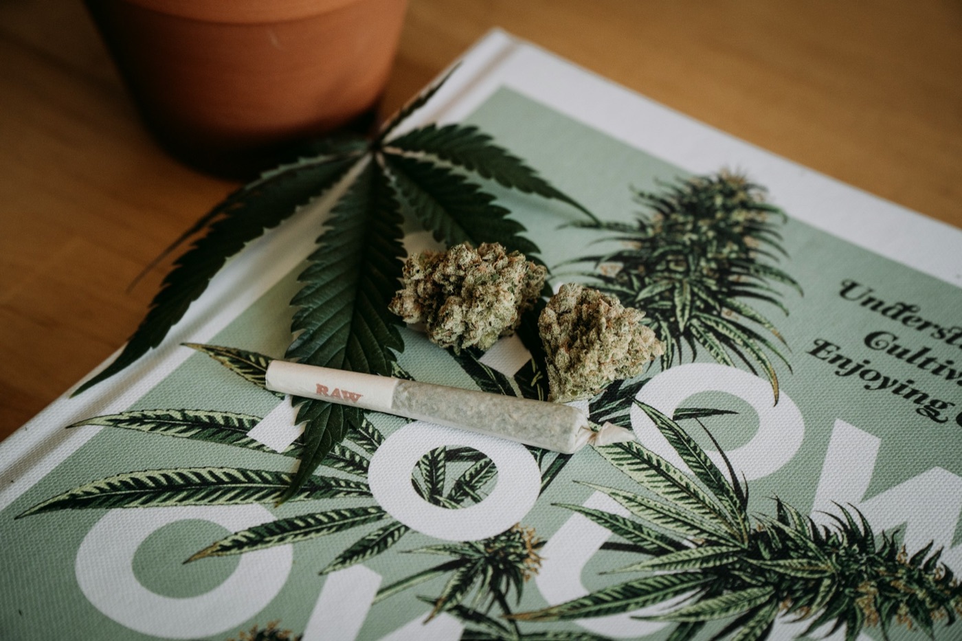 Cannabis-Blüten, ein vorgedrehter Joint und ein Hanfblatt auf einem Buch